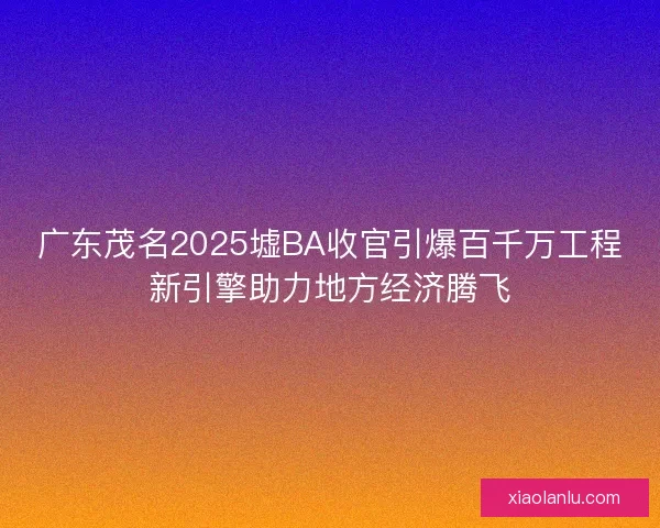 广东茂名2025墟BA收官引爆百千万工程新引擎助力地方经济腾飞