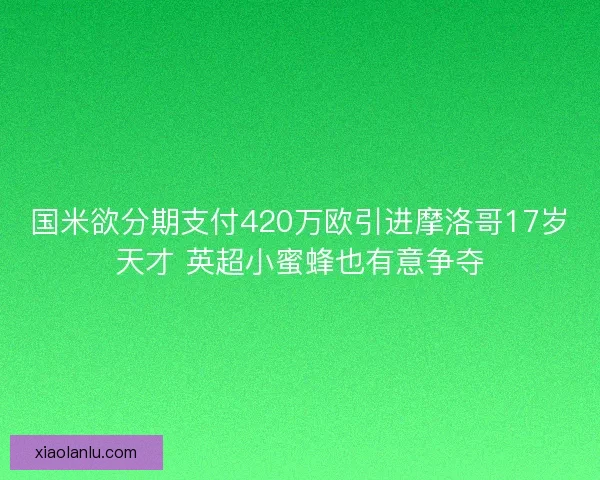 国米欲分期支付420万欧引进摩洛哥17岁天才 英超小蜜蜂也有意争夺